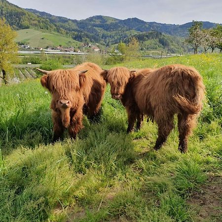 Ferienhof Vordere Alm أوبركيرش المظهر الخارجي الصورة