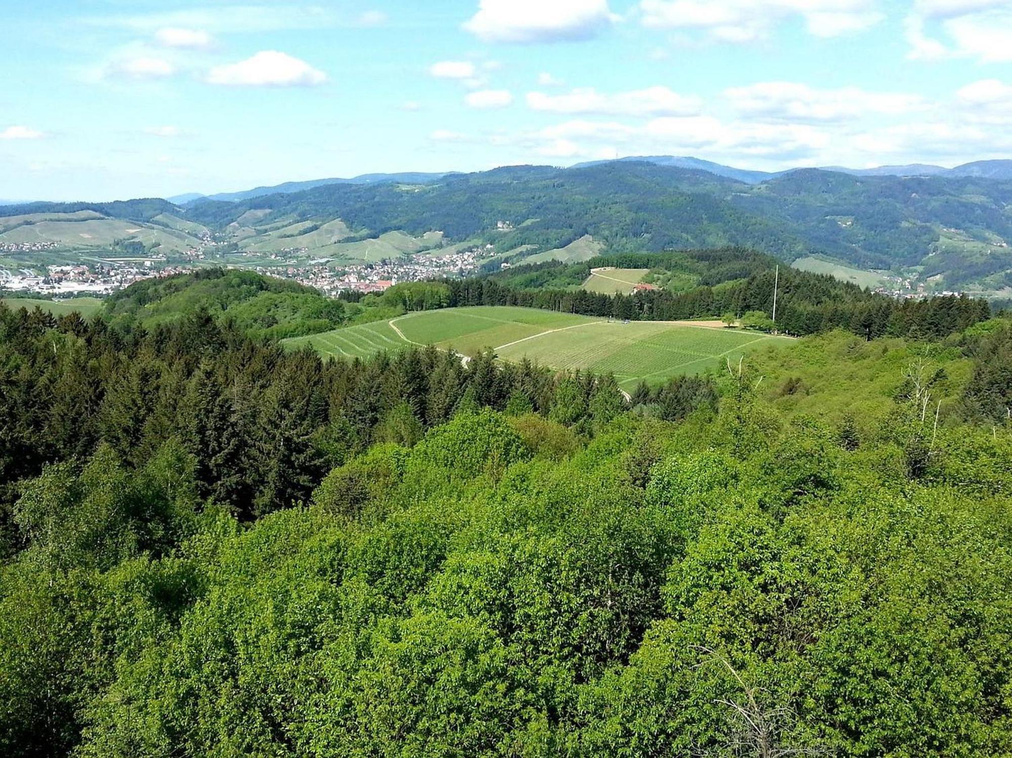 Ferienhof Vordere Alm أوبركيرش المظهر الخارجي الصورة